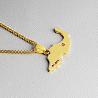 Map Shape Pendant Necklace Clavicle Chain Simple Mexico Map Sweater Chain Necklace Wholesale Nihaojewelry main image 6