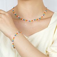Mode Arc-en-ciel Perles De Riz Bracelet Style Ethnique Simple Petite Marguerite Collier En Gros Nihaojewelry main image 1