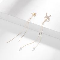 New Wave Korean Earrings Fashion Copper Asymmetric Butterfly Tassel Earrings Wholesale Nihaojewelry main image 5