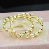 Vente Chaude Cuivre Galvanoplastie Incrusté Chaîne De Zirconium Mode Boucles D&#39;oreilles Populaires En Gros Nihaojewelry main image 3