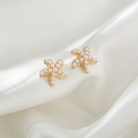 Korea Small Pearl Simple And Versatile Starfish Shell Earrings Wholesale Nihaojewelry main image 1