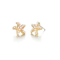 Corée Petite Perle Simple Et Polyvalent Boucles D'oreilles Coquille D'étoile De Mer En Gros Nihaojewelry main image 5