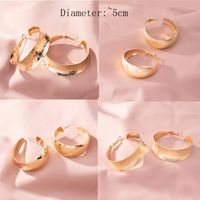 New Circle Original Design Exaggerated Earrings Wholesale Nihaojewelry main image 1