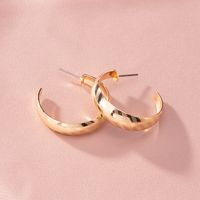 New Exaggerated Street Trend Geometric C-shaped Metallic Earrings Wholesale Nihaojewelry main image 4