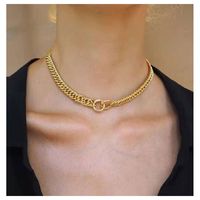 Simple Two-ring Interlocking Item Single-layer Exaggerated Circle Alloy Sweater Chain For Women main image 1