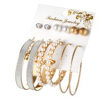 Fashion Jewelry New Tassel Earrings Set Six-piece Creative Leopard Earrings Wholesale Nihaojewelry sku image 23