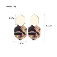 2019 Heiß Verkaufte Legierung Sechsseitige Rautenförmige Metall Ohrringe Geometrische Acryl Anhänger Essigsäure Platte Lange Ohrringe main image 3