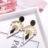 Hot-selling Geometric Retro Acrylic Hot-selling Earrings  Wholesale main image 5