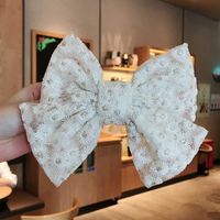 Korea Big Bow Embroidery Lace Chrysanthemum Handmade Side Clip Wholesale Nihaojewelry sku image 5