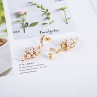 New Fashion Grape Pearl Diamond Simple Alloy Earrings For Women sku image 1