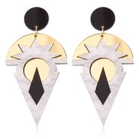 Hot-selling Geometric Retro Acrylic Hot-selling Earrings  Wholesale sku image 1