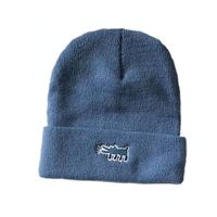 Cartoon Puppy Winter New Wild Embroidery Couples Woolen Hat Outdoor Cold-proof Knitted Hat main image 3