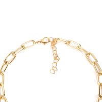 Europäische Und Amerikanische Mode Kettens Chnalle Halskette Persönlichkeit Speziell Geformter Perlen Anhänger Schlüsselbein Kette Halskette Weiblich 14810 main image 5