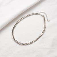 Hot Selling Jewelry Simple Chain Short Necklace Metal Clavicle Chain main image 4