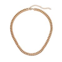Hot Selling Jewelry Simple Chain Short Necklace Metal Clavicle Chain sku image 9
