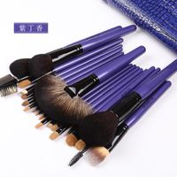 Wholesale  Makeup Brushes  Hot Selling 22 Wool Makeup Brush Set main image 6