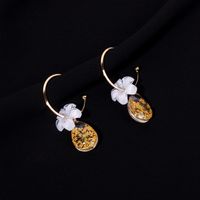 Korean Fashion Flower Earrings Simple And Exquisite Earrings Wholesale Nihaojewelry main image 5