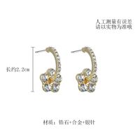 Korea Flower S925 Silver Needle Micro-inlaid Zircon Alloy Wild Small Earrings main image 4