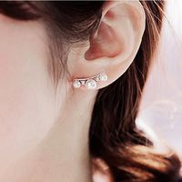 New Korean Hot-selling Curved Pearl Diamond Earrings Set  Wholesale main image 4