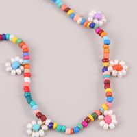 Bohemian Hand-woven Flower Rice Bead Necklace Simple Long Multicolor Beaded Pendant Wholesale main image 5