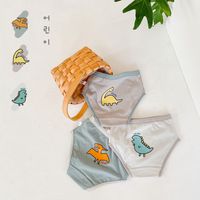 Sous-vêtements Pour Enfants Automne Triangle Boxer Coton Dinosaure Garçon Sous-vêtements En Gros main image 3