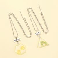 New Dried Flower Transparent Acrylic Geometric Resin Fruit Pendant Necklace Wholesale main image 3