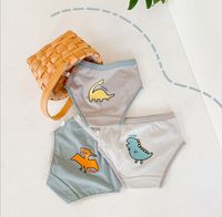 Sous-vêtements Pour Enfants Automne Triangle Boxer Coton Dinosaure Garçon Sous-vêtements En Gros sku image 7