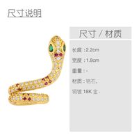 Irregular Ear Bone Clip Snake-shaped Ear Clip Geometric  Hip-hop Diamond Earrings main image 6