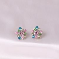 Korean Fashion Flower Crystal Diamond Elegant Alloy Earrings  Wholesale main image 5