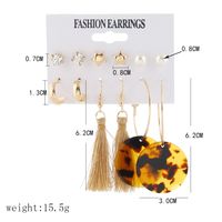 Fashion Circle Leopard Tassel Pearl Five-pointed Star Six-piece Set Hot Sale Earrings sku image 1