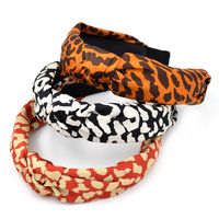 New Leopard Print Women Face Wash Street Exaggerated Fabric Headband Wholesale main image 1