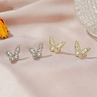New Fashion Simple Zircon Butterfly Ladies Wild Crystal Alloy Earrings Wholesale main image 4