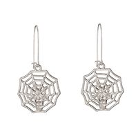 New  Alloy Simple Geometric Hollow Spider Web Earrings Wholesale sku image 4