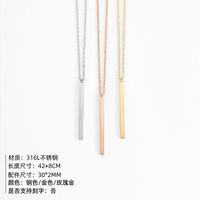 Zweischichtiger Geometrischer Anhänger Einfache Edelstahl 316l Halskette Für Frauen main image 4