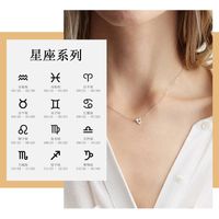 Simple Clavicle Chain Women's Love Pendant Lettering Constellation 316l Necklace main image 1