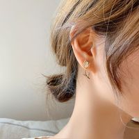 Korea's New S925 Silver Needle Opal Diamond Flower Earrings Wholesale Nihaojewelry main image 4
