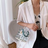 Summer New Trendy Korean Wild One-shoulder Messenger Chain Transparent Portable Jelly Bag main image 6