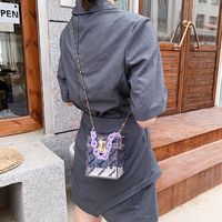 Summer New Trendy Korean Wild One-shoulder Messenger Chain Transparent Portable Jelly Bag main image 4