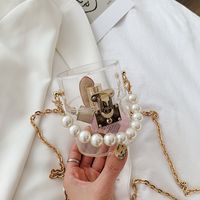 Nouveau Acrylique Perle Épaule Mode Transparent Boîte Cosmétique Changement De Tendance Petit Sac À Main main image 5