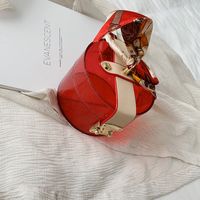 New Trendy Retro Fashion Portable Small Round Korean Silk Scarf Messenger Shoulder Transparent Bag For Women main image 6