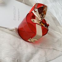 Nouveau Mode Rétro À La Mode Portable Petit Rond Foulard En Soie Coréenne Messager Épaule Sac Transparent Pour Les Femmes main image 6