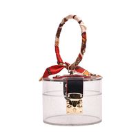 New Trendy Retro Fashion Portable Small Round Korean Silk Scarf Messenger Shoulder Transparent Bag For Women sku image 3