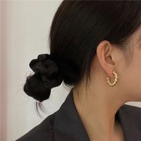 Simple Gold Small Circle Hollow Horn Earring Wholesale main image 4