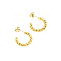 Fashion Twist Titanium Steel Hypoallergenic Necklace Earring Set For Women main image 3