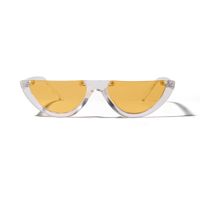 Untere Hälfte Rahmenfarbe Sonnenbrille Beliebte Cat-eye-sonnenbrille Großhandel sku image 9