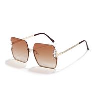 Square Pearl Metal Sunglasses Half Frame Retro Sunglasses Wholesale sku image 2