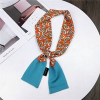 Nouveau Petit Foulard De Soie Femmes De Printemps Et Automne Longue Écharpe Coréenne Mince Étroite Écharpe D'hiver Écharpe Cravate Décoration sku image 5