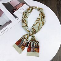 Nouveau Petit Foulard De Soie Femmes De Printemps Et Automne Longue Écharpe Coréenne Mince Étroite Écharpe D'hiver Écharpe Cravate Décoration sku image 12