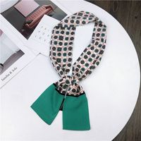 Nouveau Petit Foulard De Soie Femmes De Printemps Et Automne Longue Écharpe Coréenne Mince Étroite Écharpe D'hiver Écharpe Cravate Décoration sku image 23