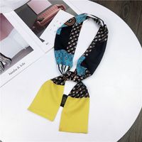 Nouveau Petit Foulard De Soie Femmes De Printemps Et Automne Longue Écharpe Coréenne Mince Étroite Écharpe D'hiver Écharpe Cravate Décoration sku image 28